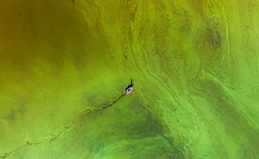 A team of scientists studies an algae bloom in a lake in Ontario. They are researching how to monitor and predict the blooms, which cause environmental and economic harm.