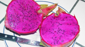 Dragon fruit is now being grown in San Diego County