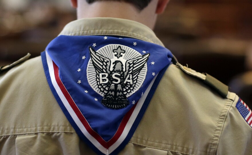 A Boy Scout wears an Eagle Scot neckerchief during the annual Boy Scouts Parade and Report to State in the House Chambers at the Texas State Capitol, February 2013, in Austin, Texas.