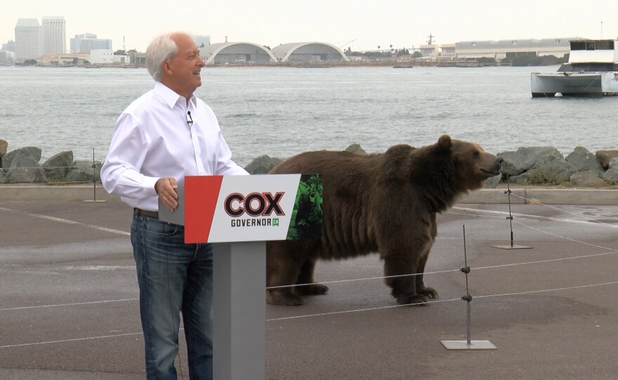 North County businessman and gubernatorial candidate John Cox appearing with Tag the bear at a campaign stop in Shelter Island, May 11, 2021.
