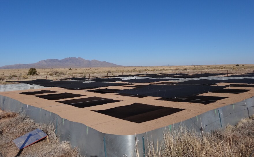 In the experiment, shade was arranged in different-sized clusters.