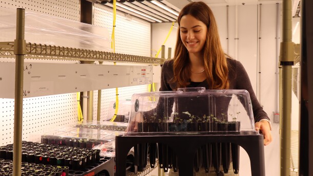 Kelly Semtner holds plant samples at the Salk Institute on Wednesday, Aug. 6, 2025.