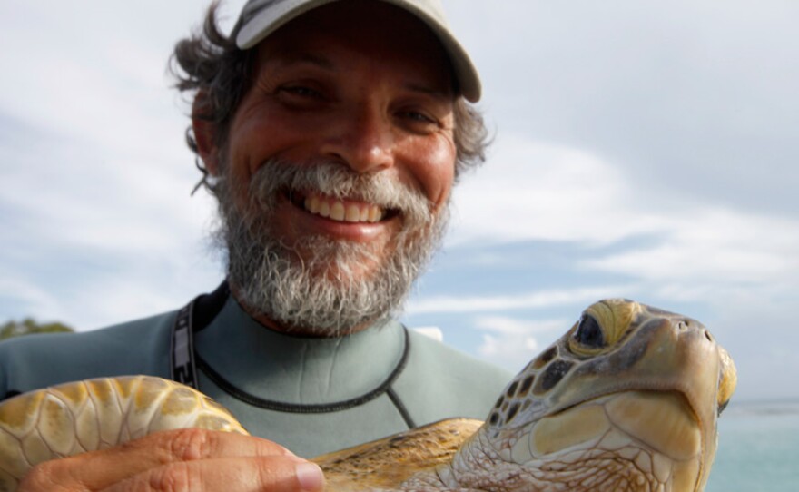 Carlos Diez catches a critically endangered hawksbill turtle to gather data for its conservation.