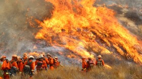 A crew with California Department of Forestry and Fire Protection (Cal Fire) battles "La Tuna" brushfire on the hillside in Burbank, Calif., Saturday, Sept. 2, 2017. 