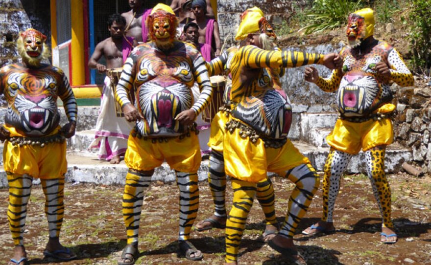 Pulikali tribal dancers. Liz Bonnin's love for tigers leads her to a unique celebration in southern India and some rather decorative bellies for a ritual tiger dance.