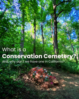 Why California Needs a Conservation Cemetery
