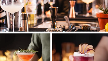 Sip & Spin Mixology Experience