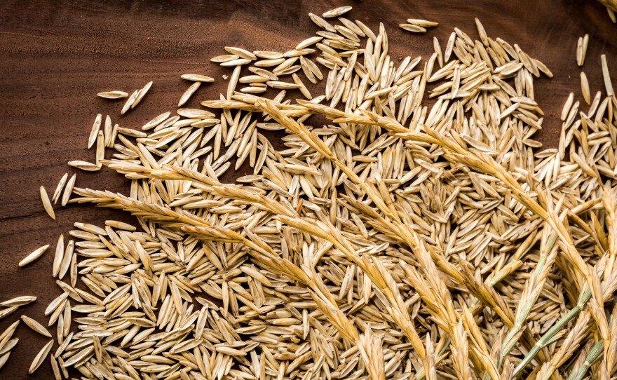 Kernza grain is too small to be milled on equipment designed for wheat. Large-scale use of the grain in the future will probably require equipment better suited to its size.