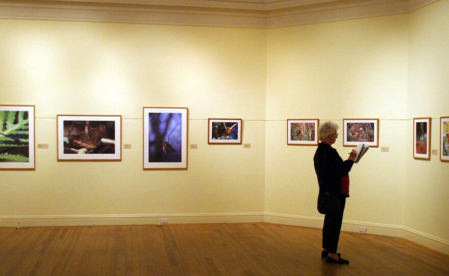 The Berkshire Museum in Pittsfield, Mass., announced it would sell 40 works to fund its renovation and endowment, raising concerns from museum organizations that the instiution is treating its collection "as a disposable financial asset." Above, an exhibit at the museum in 2003.