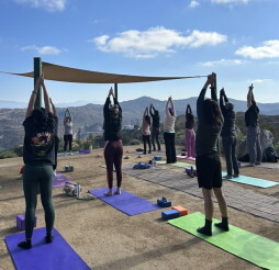 Connect to Nature: Yoga + Guided Hike Series