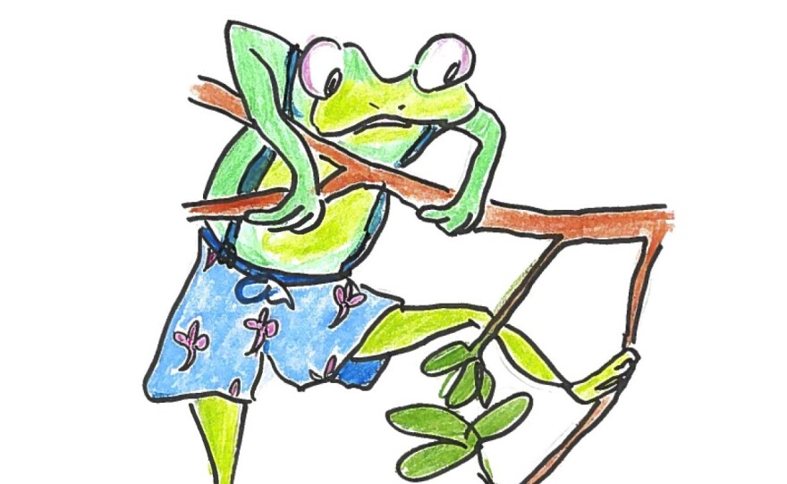 Frog in shorts hanging from a branch.