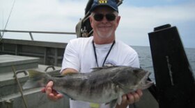 Larry Allen, a coauthor of the study, with a barred sand bass.