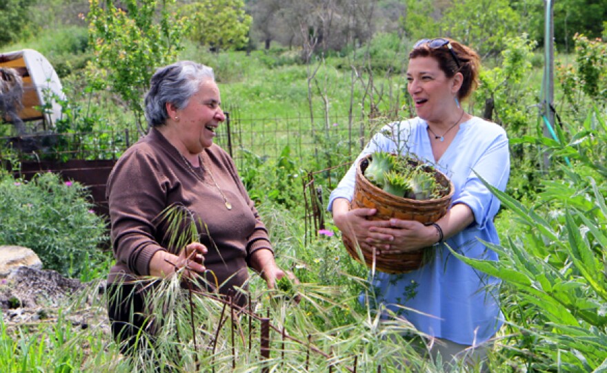 In Season 1, Diane Kochilas follows a local family's daily routine of working the land and cooking up a storm and meets an unusual farmer who lives the way people did on Crete a 100 years ago.