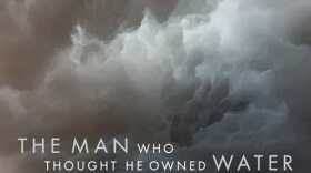 The cover of "The Man Who Thought He Owned Water" by Tershia d'Elgin.