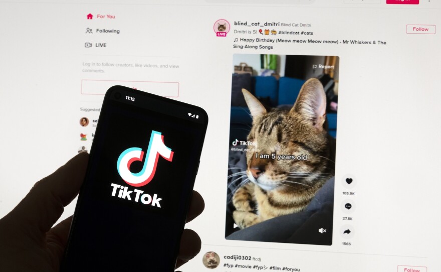 The latest effort in Congress to force TikTok to be sold is the most serious threat yet to the app's future in the U.S.