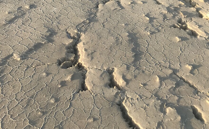 Dead Sea beach covered with salt. 