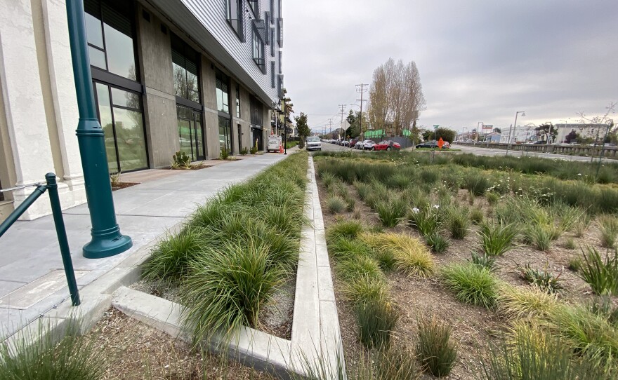 Replacing concrete with green plants, like this project in Emeryville, Calif., can help overwhelmed stormwater systems handle increasingly bigger rainstorms.
