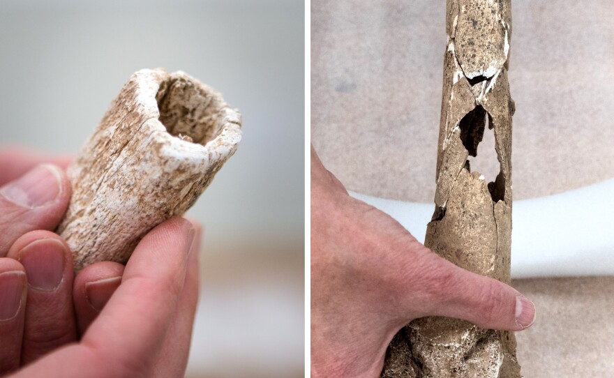 The limbs had been evenly cut (left), and researchers were able to identify bullet holes (right).