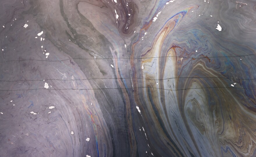Water is contaminated with oil in the Talbert Marsh, which is home to around 90 bird species, after a 126,000-gallon oil spill from an offshore oil platform on Oct. 4, 2021 in Huntington Beach, Calif.