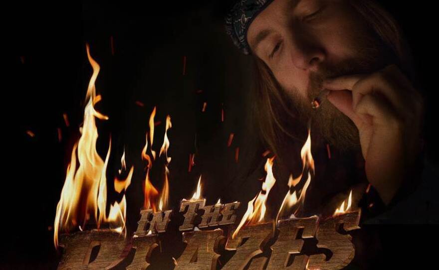 Aaron Lee Tasjan, <em>In the Blazes</em>