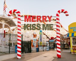 Winter Wonder at Belmont Park