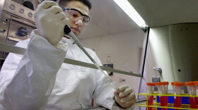 A technician at pharmaceutical company pursuing new gene therapy treatments collects re-engineered viruses, called "vectors." Viruses, stripped of their virulence and ability to replicate, are the most common delivery vehicles for healthy DNA.