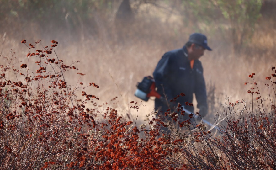A worker clears brush in Mission Trails Regional Park on Wednesday, Sept. 23, 2026.