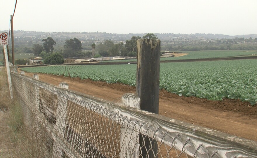 South Morro Hills neighborhood farm adjacent to North River Road in Oceanside, CA.  October 21, 2020.