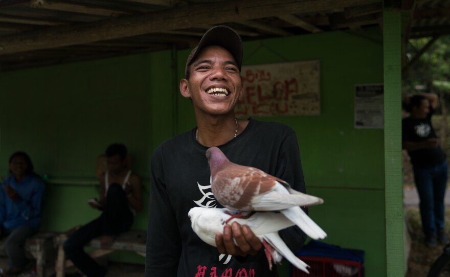 Sumarjan is bursting with excitement after his one-year-old pigeon Panjol wins the day's race, earning him about $9. "This is my first time winning the competition," he says. "I'm so happy. This is only a small competition. I can't imagine winning a bigger competition."