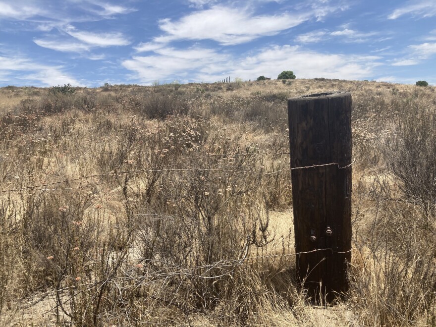 Dry brush is seen in Proctor Valley, Calif. July 20, 2023.