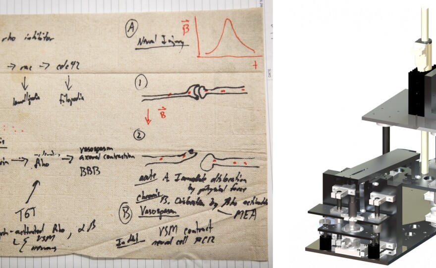 On a set of napkins, Kit Parker sketched out his theory about blast wave damage to the brain. His team then designed experimental equipment to test the effects of blast waves on cells in the lab.