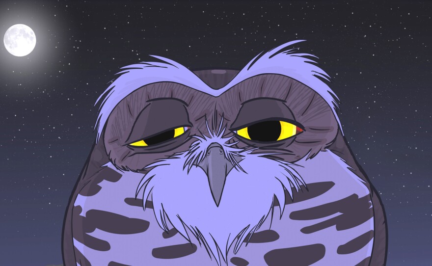 Mike Roush's "The Secret Life of the Burrowing Owl."