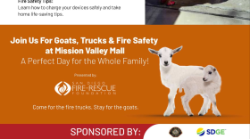 Wildfire Preparedness Safety Fair
