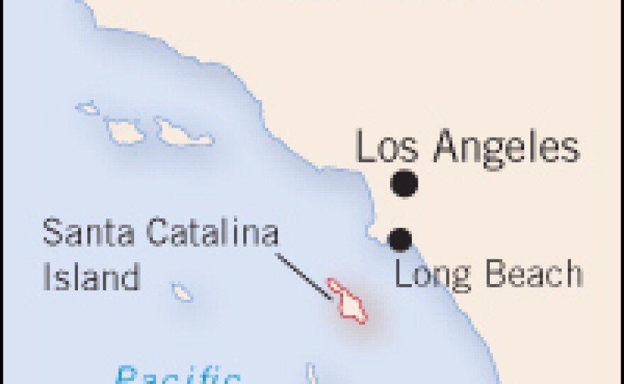 A wildfire that started Thursday threatened Avalon, the main city on Catalina Island. Avalon has a population of about 3,200. Most of the island, which is home to various wildlife, is operated by the Catalina Island Conservancy.