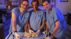 (L to R) David Zagzag, John Golfinos, and David Pogue examine the anatomy of brain.
