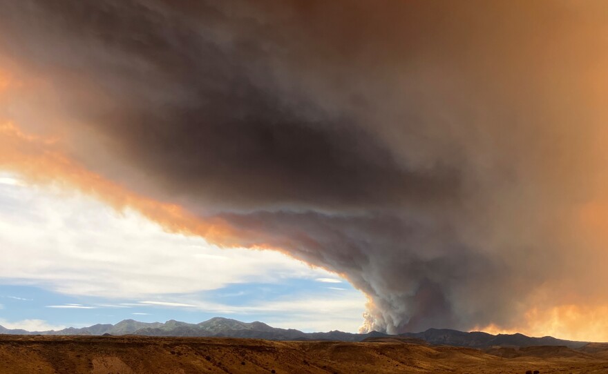 A plume of smoke rises from the Black Fire above the Gila Wilderness in southwest New Mexico on June 4.