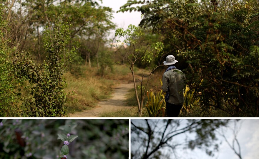 A gardener tends vegetation at the Yamuna Biodiversity Park in northern New Delhi. With 80 species of fruit-yielding plants, a variety of birds and 75 species of butterflies, the park is an attempt to revive the floodplain and flora and fauna that thrived there years ago. Field biologist Mohammad Faisal (bottom right) views one of the wetlands that has been created in the 450-acre project.