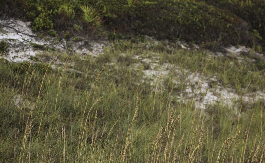 "No trespassing" signs and private security guards are prevalent along the 26-mile shoreline in south Walton County as disputes have escalated between beachgoers and property owners.