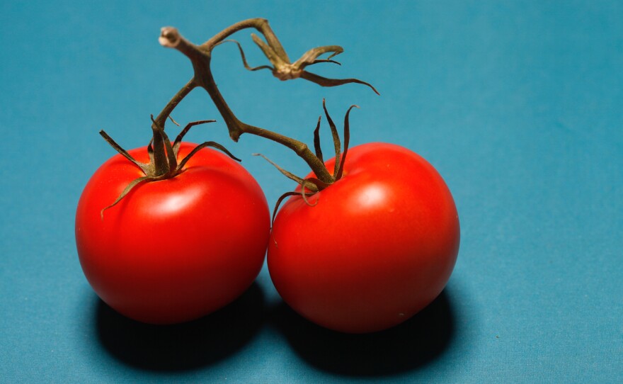 Mexican tomatoes