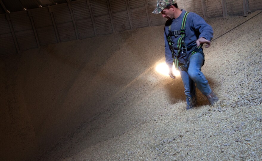 Grain Operator Austin Clubb surveys corn inside the Homestead Grain Facility at Amana Farms near Cedar Rapids, Iowa.