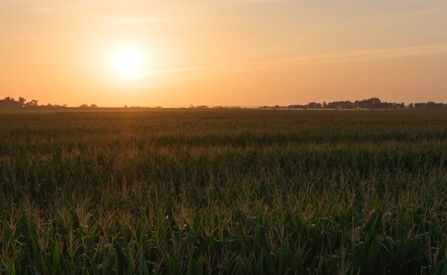 Cruz Urias Beltran went missing in the cornfields near Grand Island, Neb., on a day when the temperature — with humidity — felt like 100 degrees.