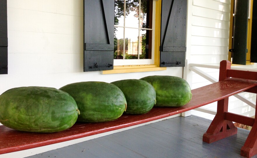 Bradford watermelons sit on a joggling board at Nat Bradford's home in Sumter, S.C.