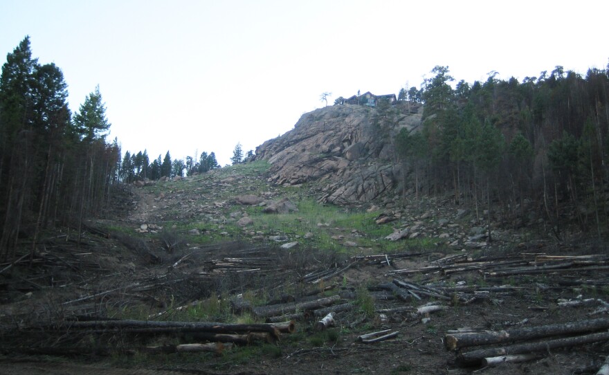 The rock and grass leading up to Judy and Harry Gaylor's neighbor's house, in Evergreen, Colo., used to be covered in trees.