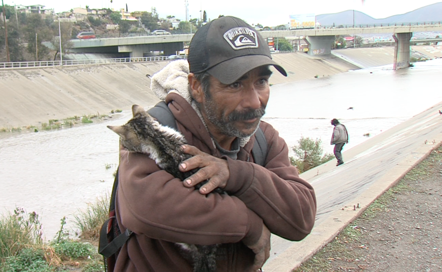 The Tijuana migrant Jose Alberto Zavala, known as Chapo, cradles a wet kitten he rescued in the rain, Jan. 5, 2016. 