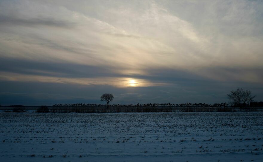 The snow-covered soya fields at the Belfontaine Holstein farm are pictured in Saint-Marc-sur-Richelieu, Quebec, on Dec. 9, 2021. Canadian Super Pigs were bred to survive the winter.