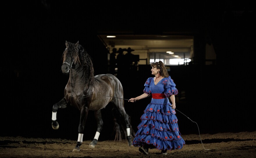 Staci Diaz and her horse prepare to entertain the audience at the Mexican Rodeo Extravaganza with their performance called "Liberty Horse."