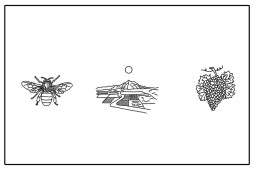 cognate-collective-BP-alternativegraphic-animation.jpg