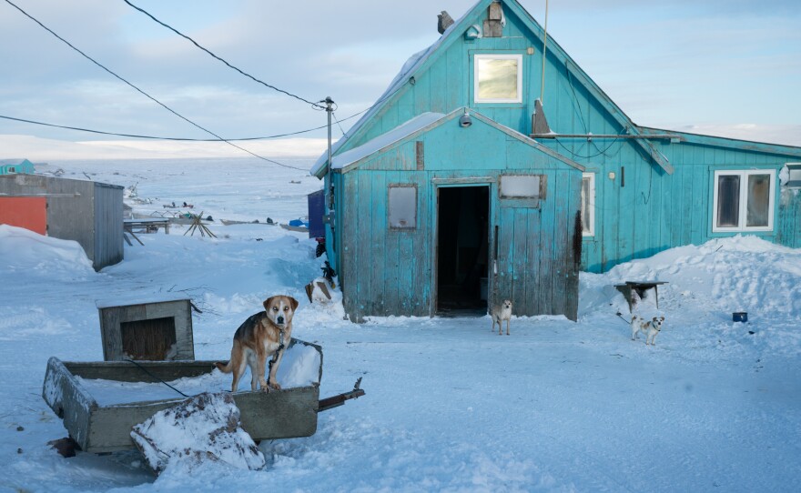 Older residents still remember when they moved their homes, pulled by dog sled, from neighboring Nightmute, Alaska, to make what was once a fishing camp into a permanent settlement. Now dogs abound, but the moving of goods is mainly done with snow machines and all-terrain vehicles<em>.</em>