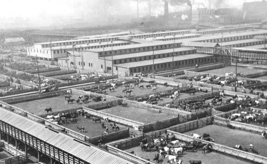 The view from the Union Stock Yard water tower looking southwest to the sheep house and Packingtown, circa 1890. Notice the smoke rising from the huge plants.