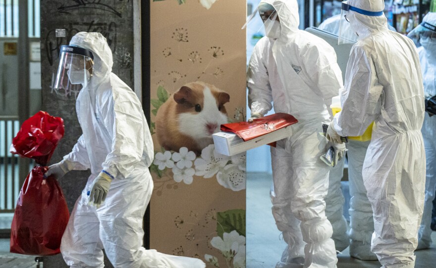 Workers with Hong Kong's Agriculture, Fisheries and Conservation Department remove small animals from a pet store in Hong Kong after hamsters tested positive for COVID-19.